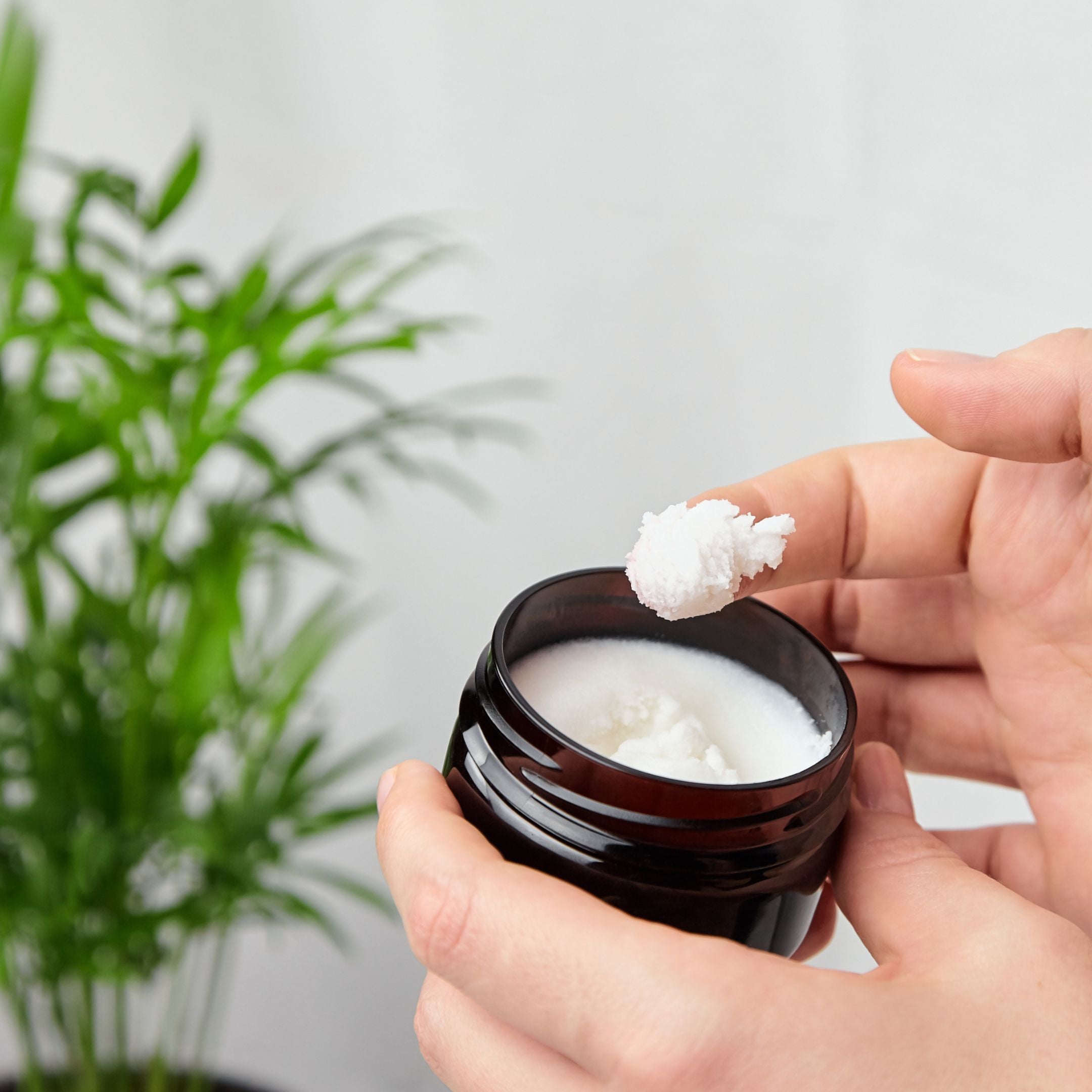 Set di valore: 3x Royale Lotion, lozione per il corpo con pappa reale, burro di karitè e miele di manuka in un set di 3 pezzi