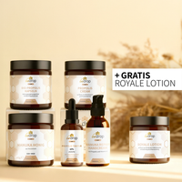 Set di riparazione Bee Power
